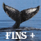 fins_n_fur's Avatar