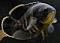 MCHRKiller's Avatar