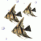 Kazenouta's Avatar