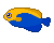 Cliff's Avatar