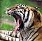Fisher_Zeb's Avatar