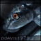 ddavis1979's Avatar