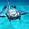 Flyby Stardancer's Avatar