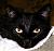 Dave66's Avatar