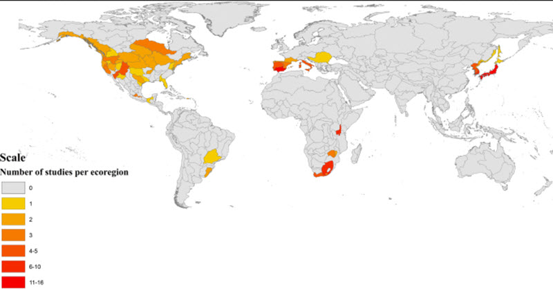 Global distribution largemouth bass