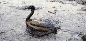 Oil spill