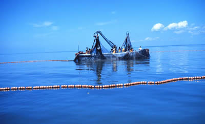 seine fishing bann
