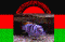 RainMan's Avatar
