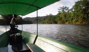 amazon river tributary