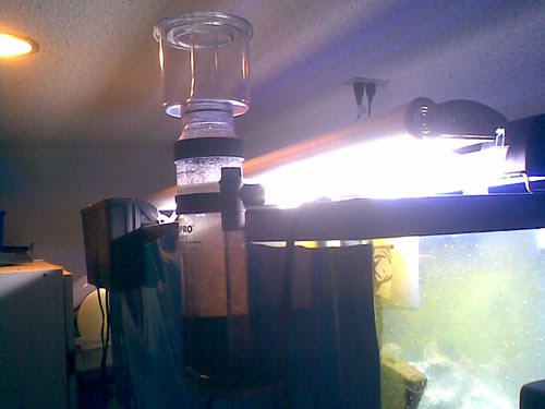 setting up a marine aquarium - the Protein skimmer